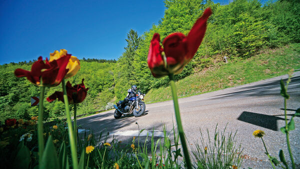 Hochschwarzwald