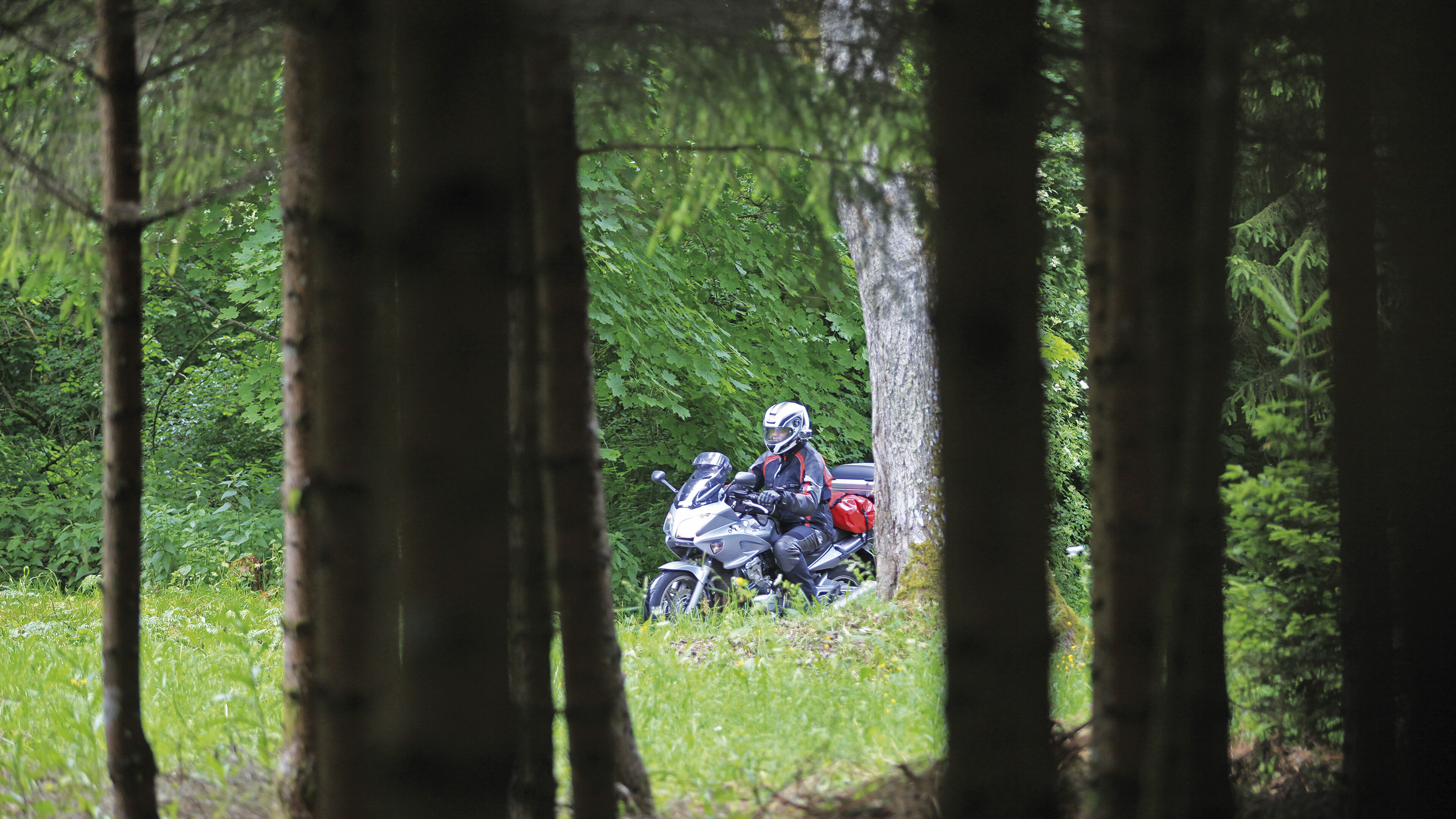 Auf Schleichwegen durch den Süd-Schwarzwald